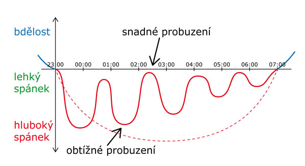 Spánkový cyklus a ranní vstávání