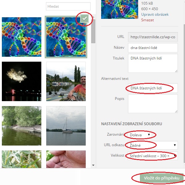 WordPress - vložit obrázek